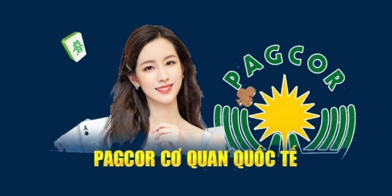 Chi phí xin giấy phép là không hề thấp